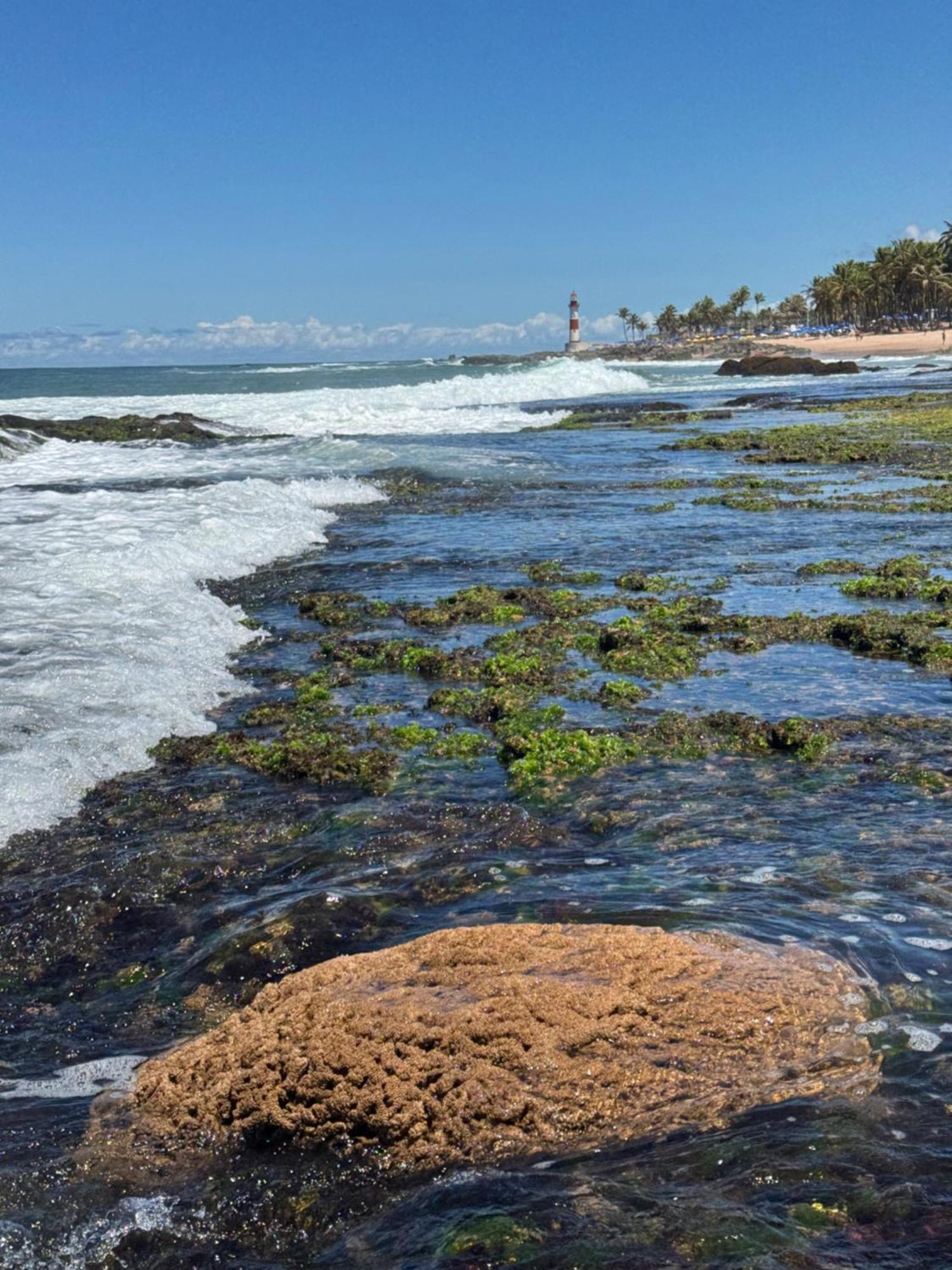 Samba Villa Da Praia Salvador Exteriér fotografie